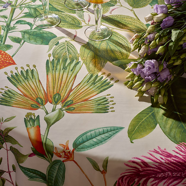 fantaisie tropicale